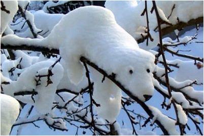 снег снег