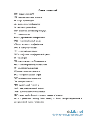 белка белка