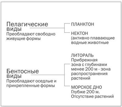 хирургия хирургия